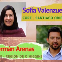 ¿Qué sabemos sobre el rol y función de las y los Cores regionales?￼